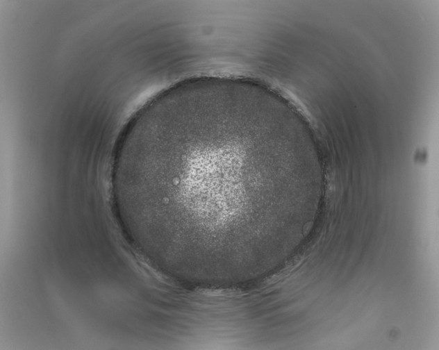 X0000090720679200708171927