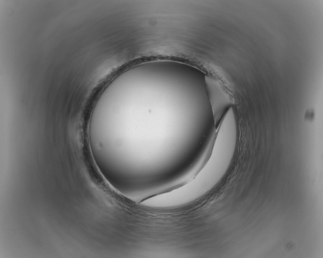 X0000090720680200708171927