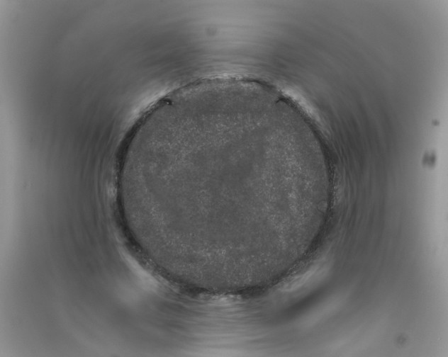 X0000090720683200708171927