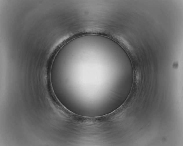 X0000090720684200708171927