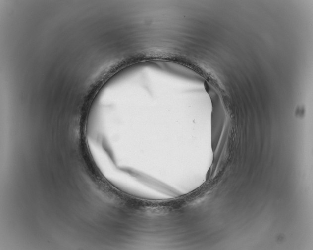 X0000090720686200708171927