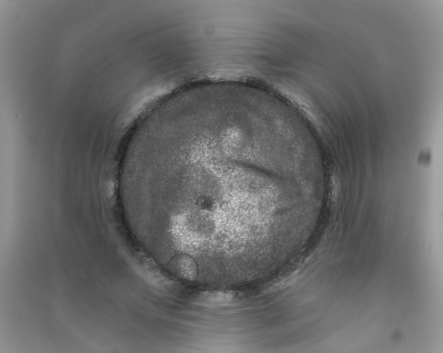 X0000090720687200708171927