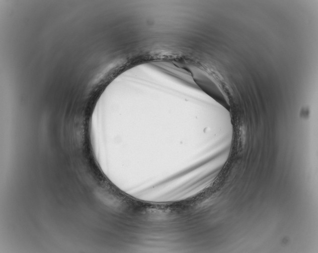 X0000090720690200708171927