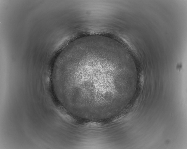 X0000090720691200708171927