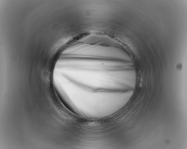 X0000090720692200708171927