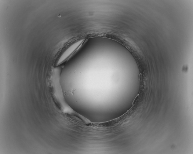 X0000090720693200708171927