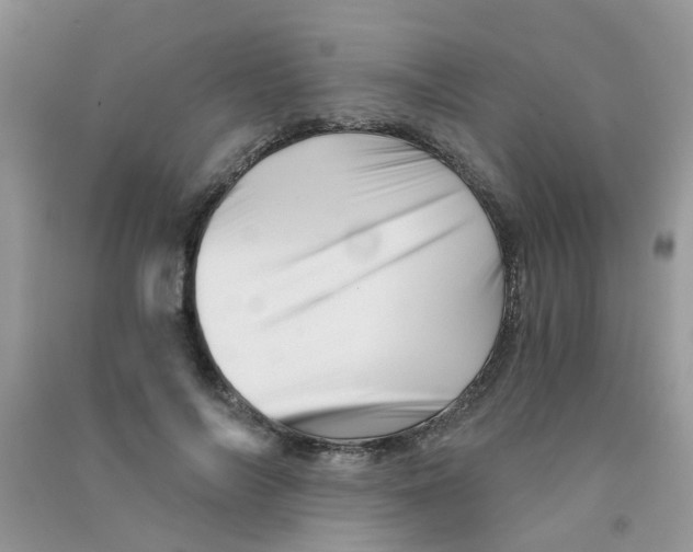 X0000090720694200708171927