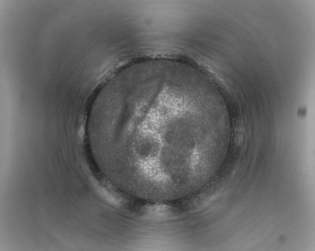 X0000090720695200708171927