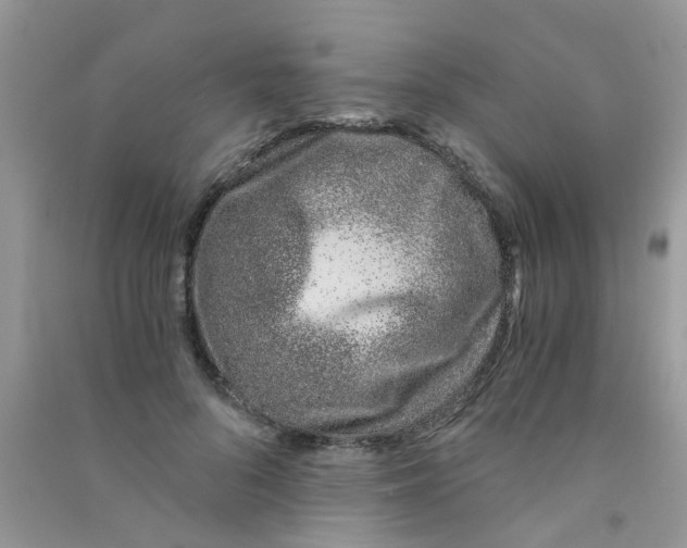 X0000090720696200708171927