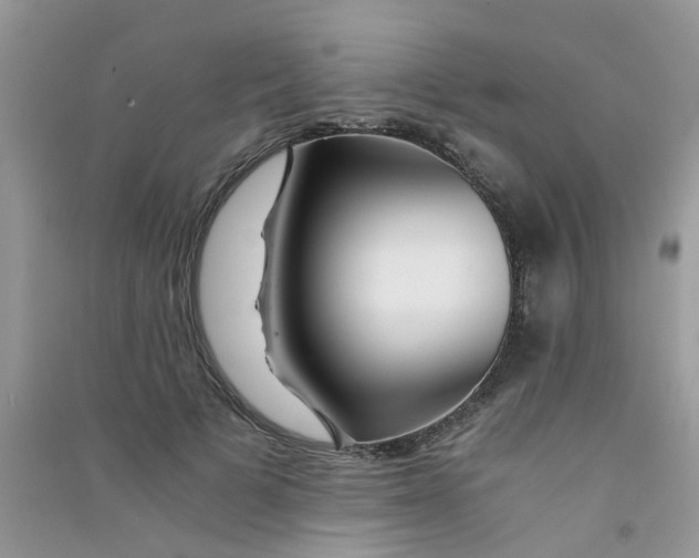 X0000090720697200708171927