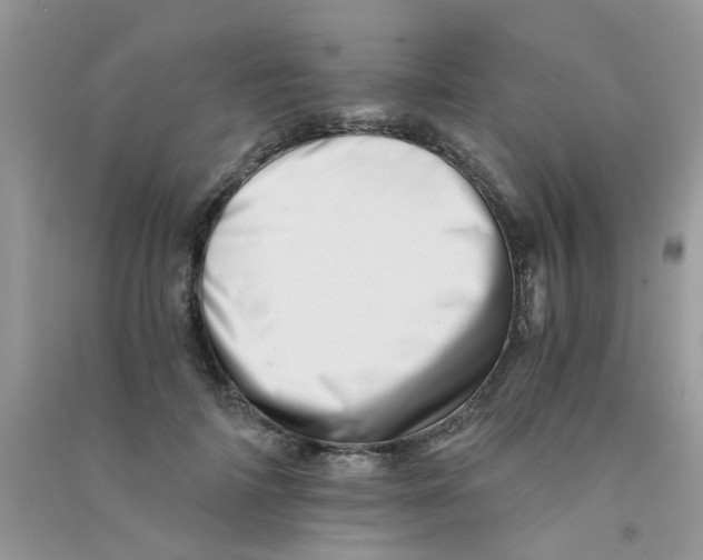 X0000090720698200708171927