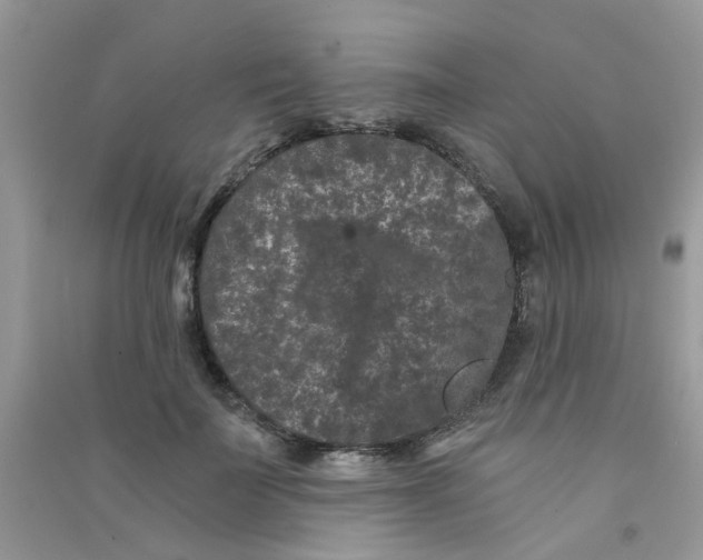 X0000090720699200708171927