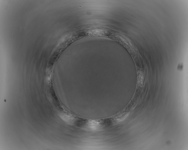 X0000090720701200708171927