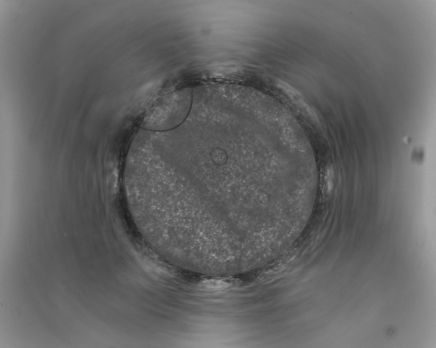 X0000090720703200708171927