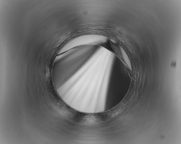 X0000090720704200708171927