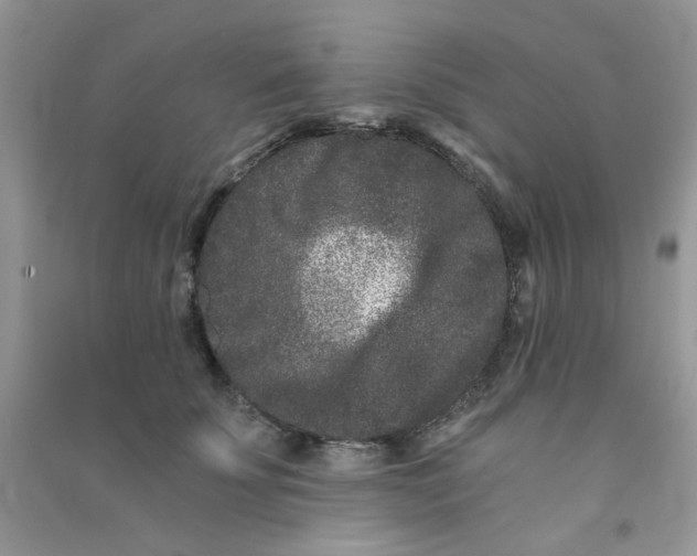 X0000090720707200708171927