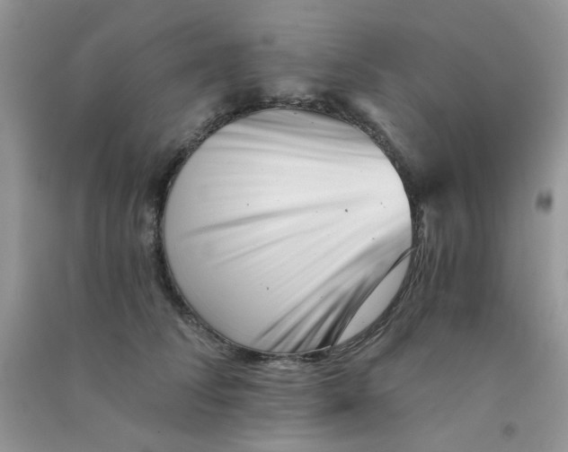 X0000090720708200708171927