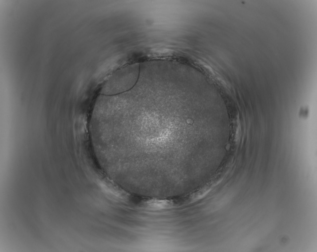 X0000090720711200708171927