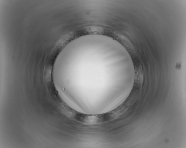 X0000090720717200708171926