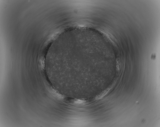 X0000090720718200708171926