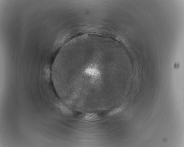 X0000090720720200708171926