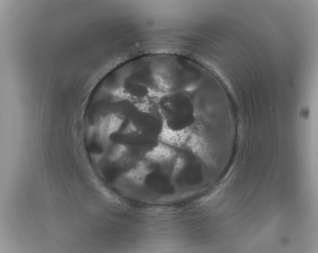 X0000090720721200708171926