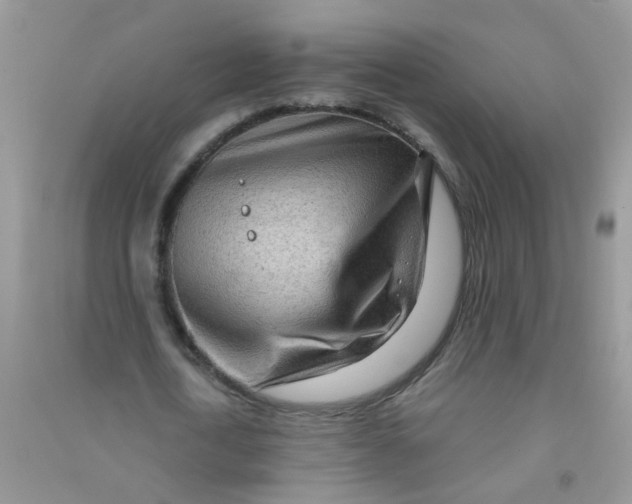 X0000090720722200708171926