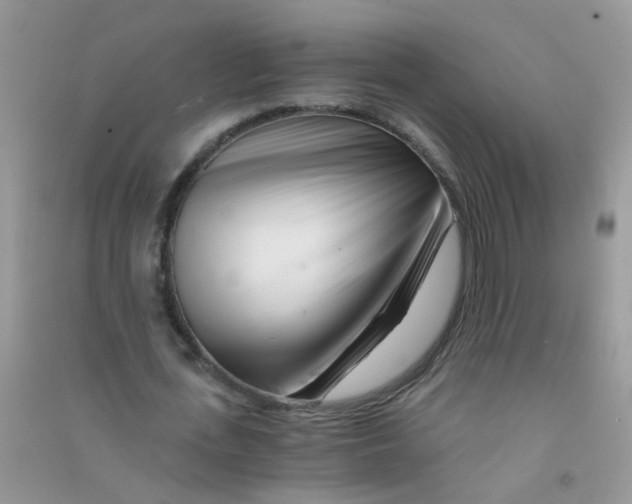 X0000090720723200708171926