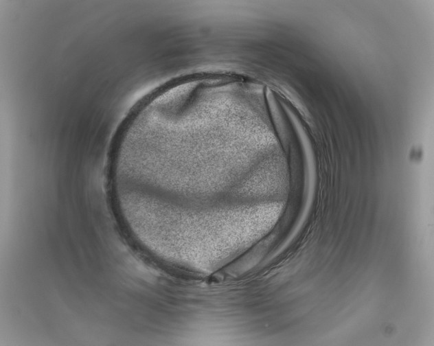 X0000090720724200708171926