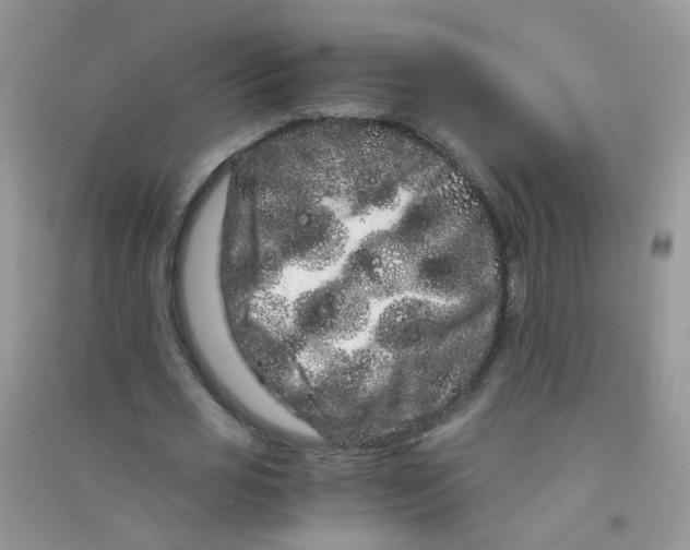 X0000090720725200708171926