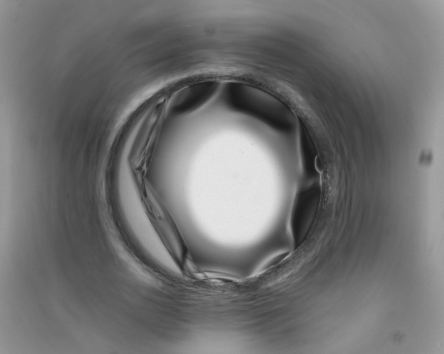 X0000090720726200708171926