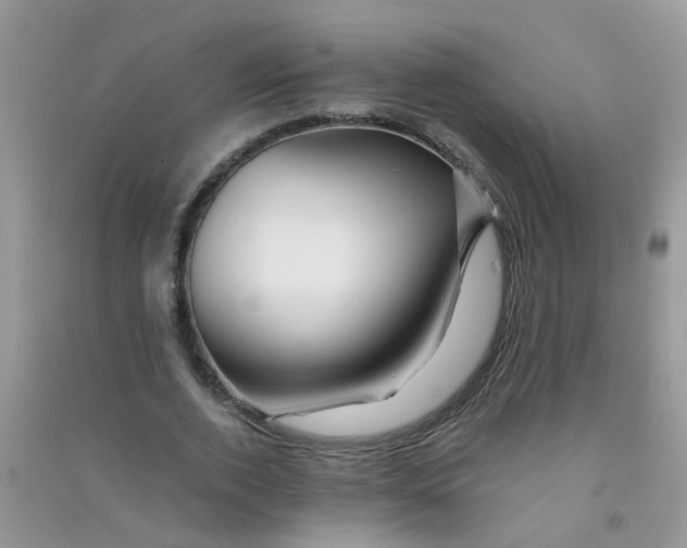 X0000090720728200708171926