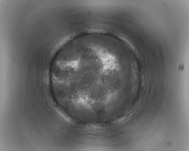 X0000090720729200708171926