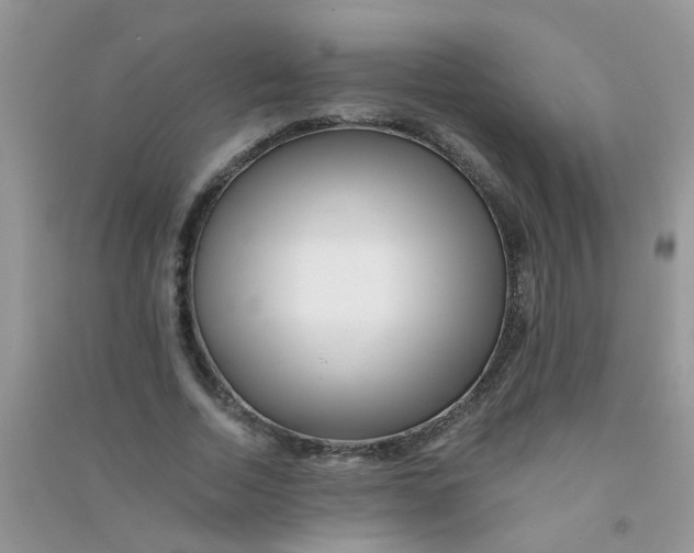 X0000090720730200708171926