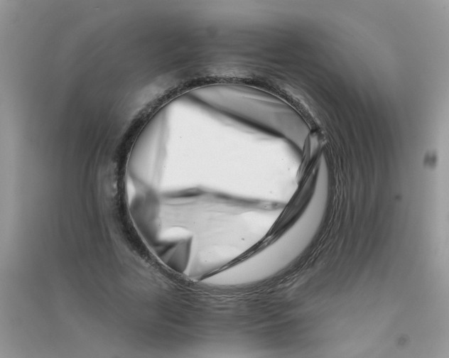 X0000090720731200708171926