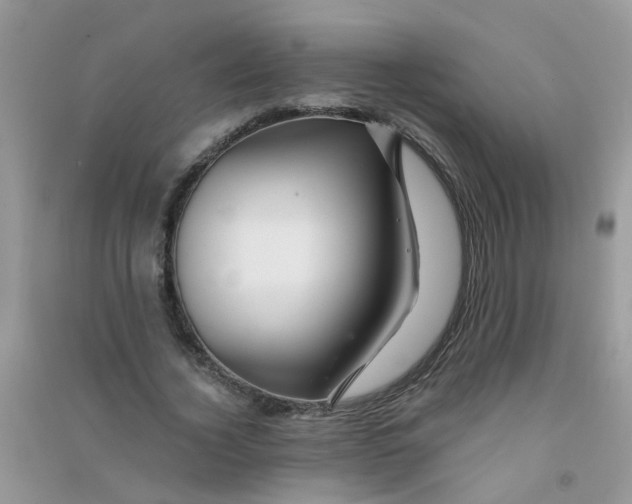 X0000090720732200708171926