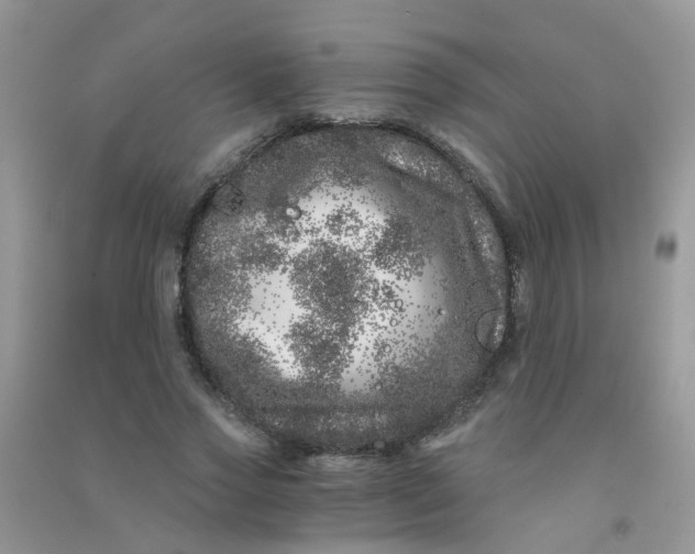 X0000090720733200708171926