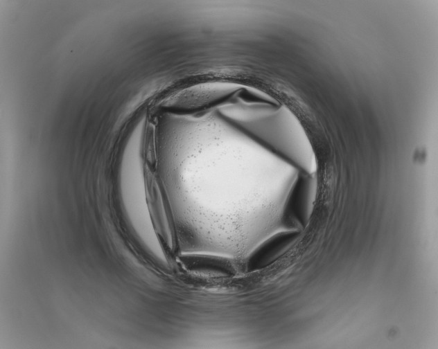 X0000090720734200708171926