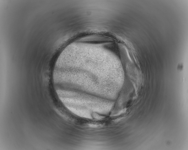 X0000090720736200708171926