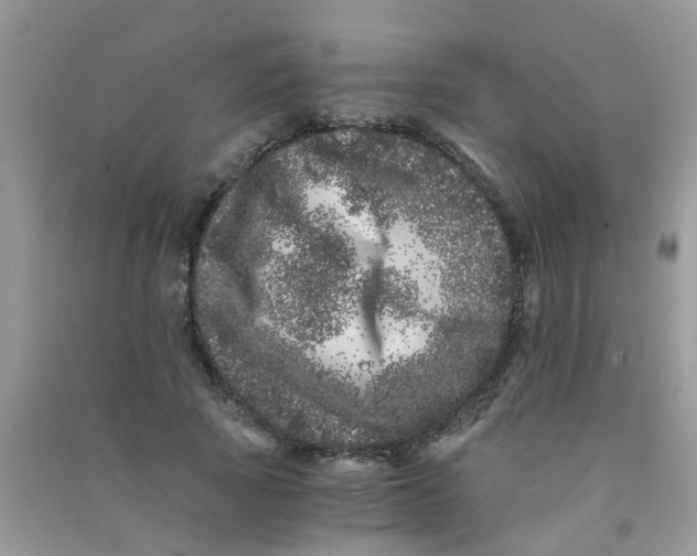 X0000090720737200708171926