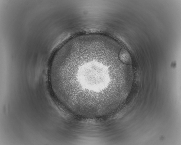 X0000090720738200708171926