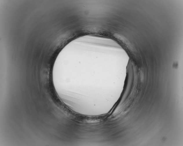 X0000090720739200708171926