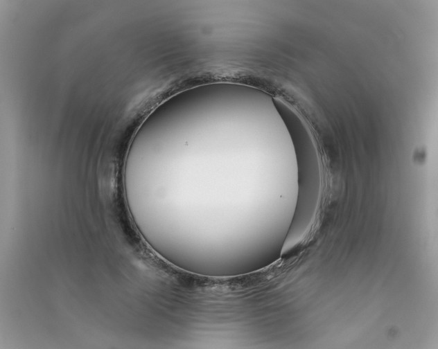 X0000090720740200708171926