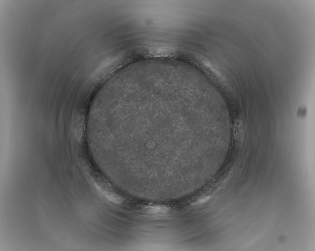 X0000090720741200708171926