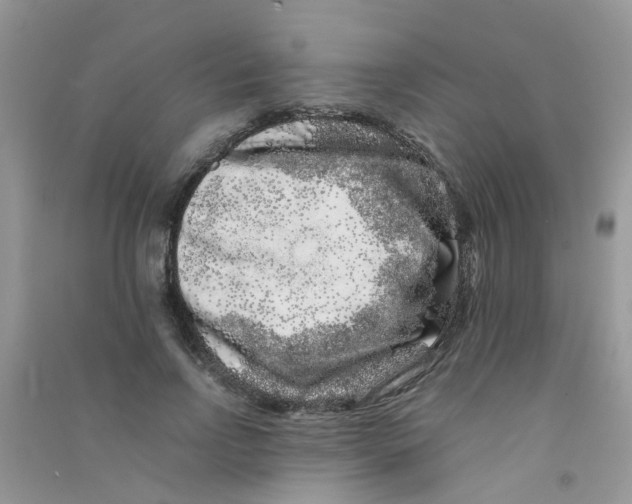 X0000090720742200708171926