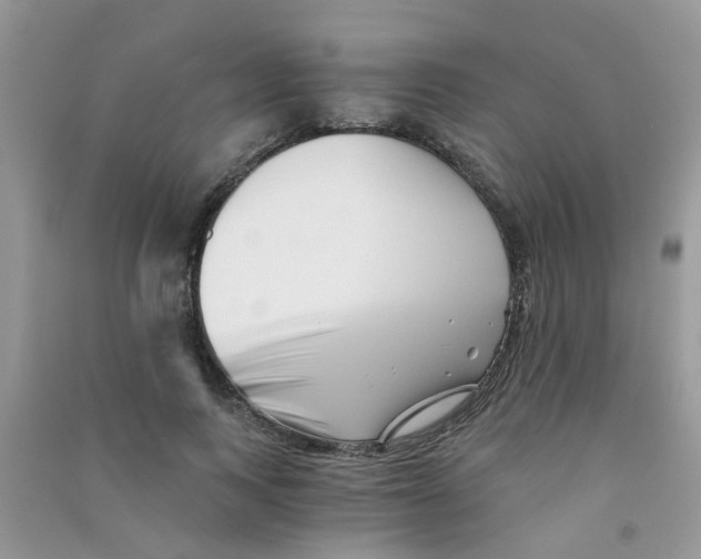 X0000090720743200708171926