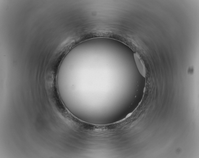 X0000090720744200708171926