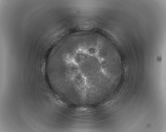 X0000090720745200708171926