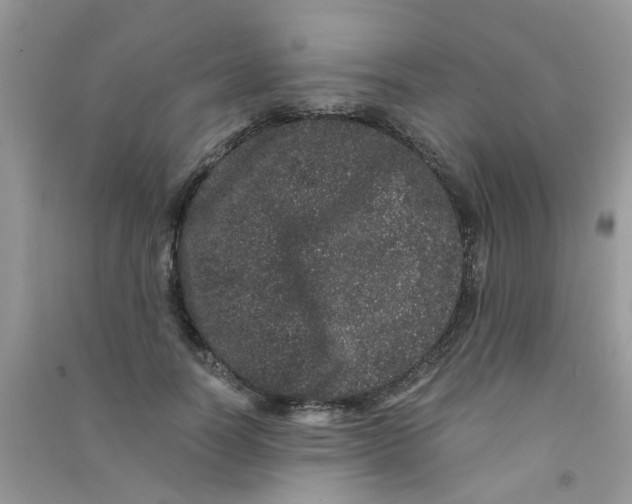 X0000090720746200708171926