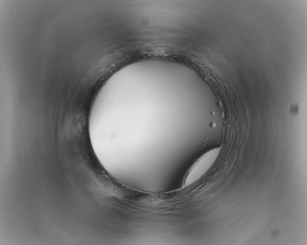 X0000090720747200708171926